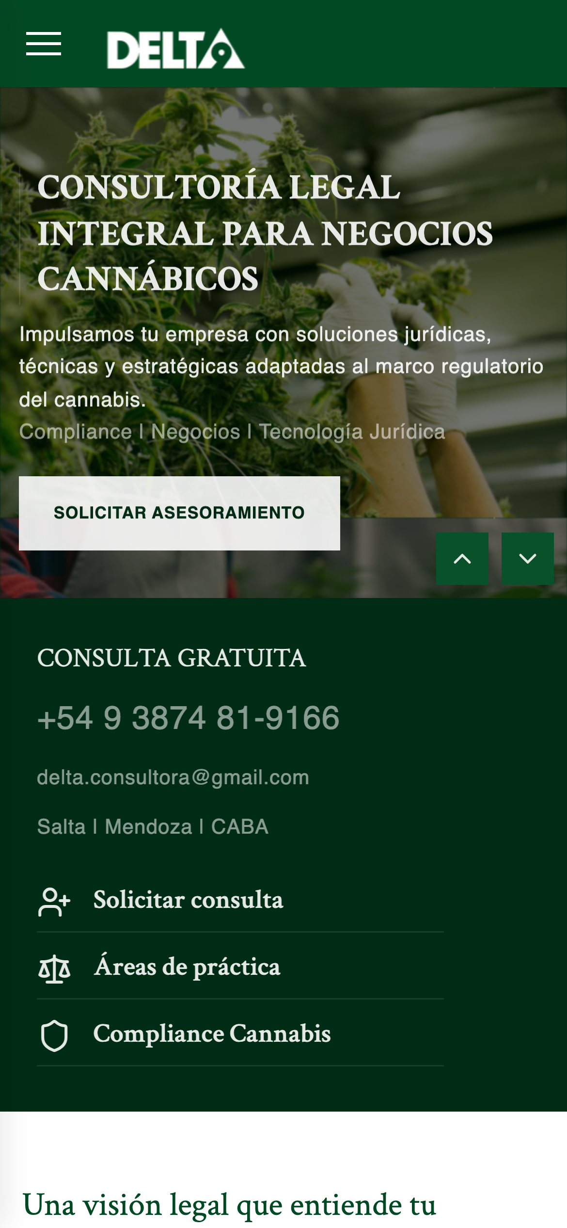 Delta 9 Consultora - Imagen 2